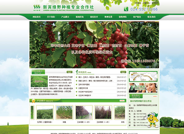 新賓綠野種植專(zhuān)業(yè)合作社